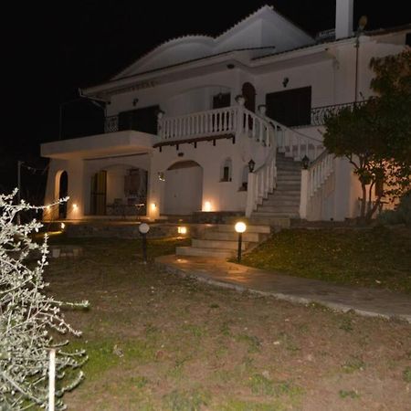 Triple H Villa Volos Exterior photo