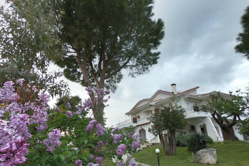 Triple H Villa Volos Exterior photo