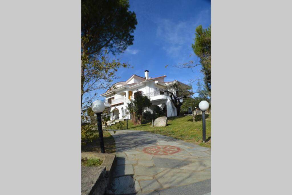 Triple H Villa Volos Exterior photo